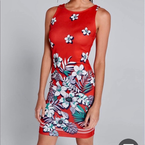 Bodycon Dress - Picture 1 of 6